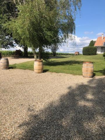 Gite Les Pins Perdus Saint-Ciers-d'Abzac Buitenkant foto